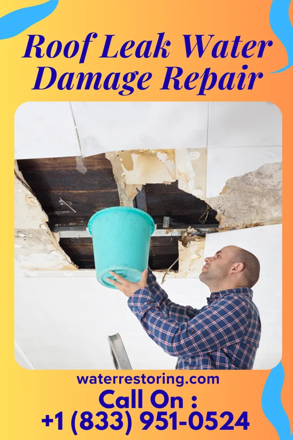 Roof Leak Water Damage Repair in Lidgerwood, ND