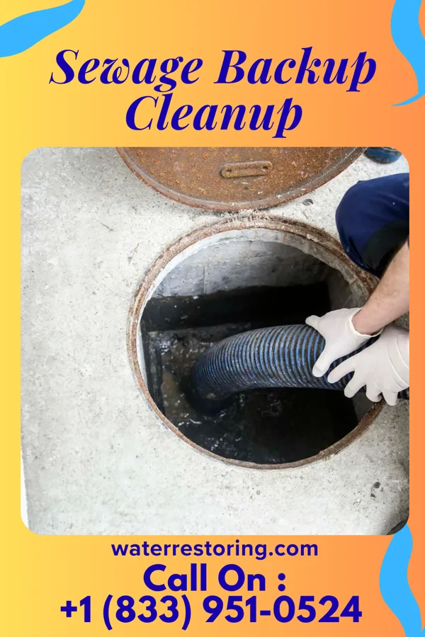 Sewage Backup Cleanup in Lidgerwood, ND
