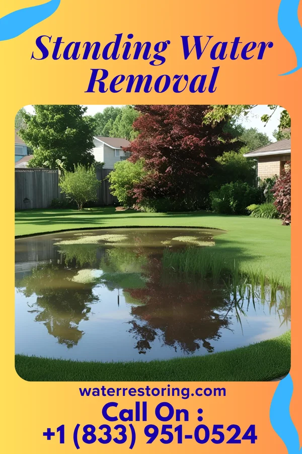 Standing Water Removal in Lidgerwood, ND